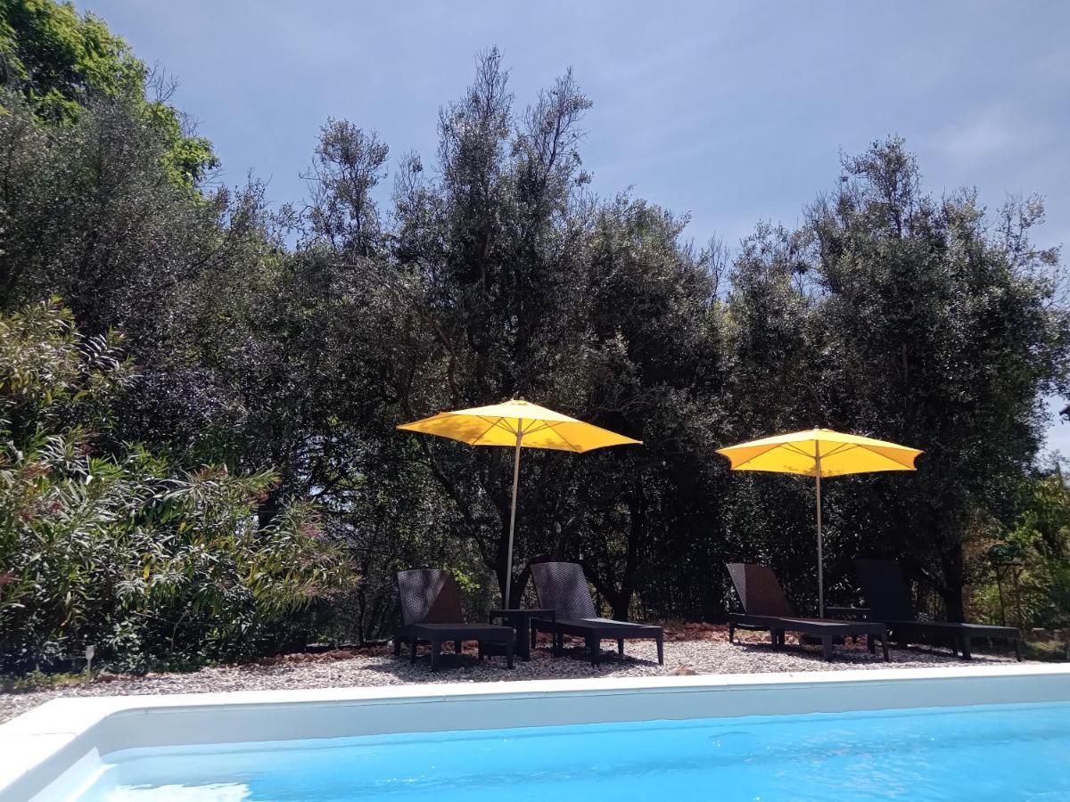2 Pieces "Le Brin De Soleil" Gites Appart 'Hotel L'Echappee Belle D'Aubenas Logement 1 Sur 3 Eksteriør billede